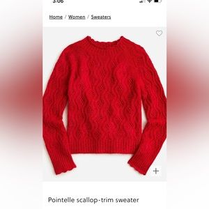 Never worn 2022 J Crew Pointelle Scallop-trim sweater